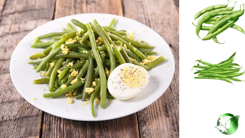 Wholesale packaging for Frozen Green Beans can be planned for retail, food-service operations, private-label, or industrial distribution.